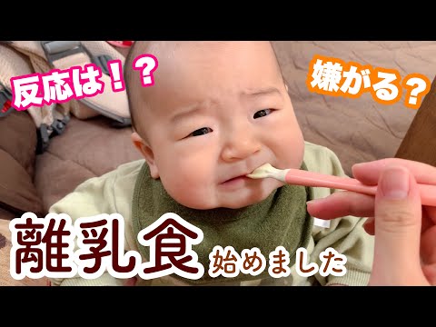 【初めての ごはん🥣】離乳食･初めての反応は？🥰