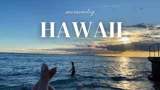 【 hawaii vlog 】14日間のハワイ新婚旅行 ep.1🤍🌺 ハレクラニワイキキ │ 到着日の過ごし方 │ おすすめカフェグルメ🍴 │ ハネムーン │ ハワイアン航空