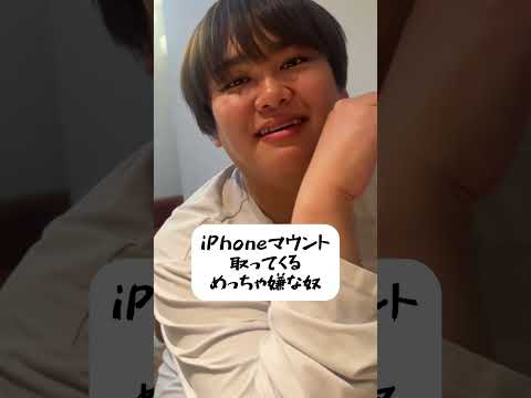 iPhoneマウント取ってくるめっちゃ嫌な奴。#パパラピーズ #あるある #日常 #shorts #shortvideo