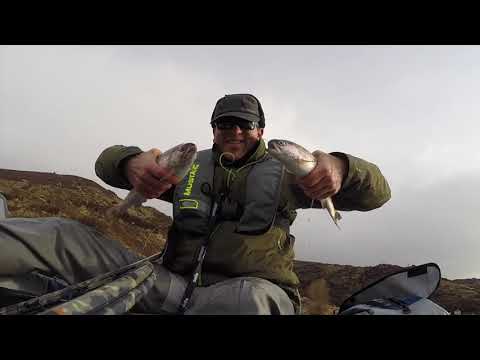 Big Browns-Fly Fishing Utah Spring 2020-Rockcliff