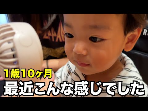 1歳10ヶ月男の子、最近の日常【シンママ】