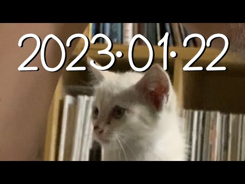 2023年01月22日。年初一