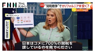 トランプ大統領“関税戦争”でカリフォルニア産カルローズ米安くなる?「粒大きめ粘り気少なめ」も業務用で活用の可能性…日本の農家に深刻打撃か