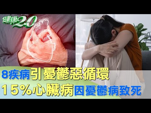 8疾病引憂鬱惡循環 15%心臟病因憂鬱病發致死 健康2.0 @tvbshealth20​