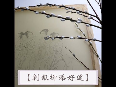 過新年【剝銀柳添好運】等畫乾時的療癒時光🎋New year custom