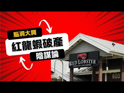 Red Lobster是真破產還是龐式騙局？｜人工生殖法之代理孕母爭議｜伊朗總統墜機腦洞大開陰謀論｜直播精華｜Sowilo靈性觀點