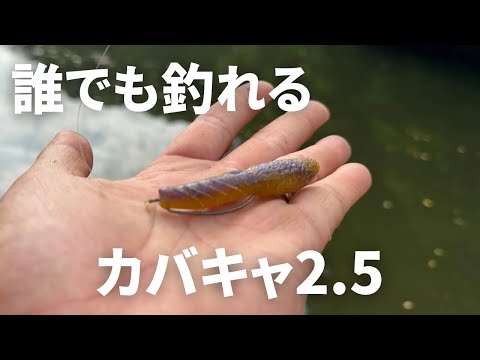 【バス釣り】カバースキャット2.5の釣れる使い方を解説しながら実釣したら凄かった。実は1番釣れるサイズはこう使えば爆釣です。【デプス】【ボトムジャーク】【釣りたい人は使って欲しい】