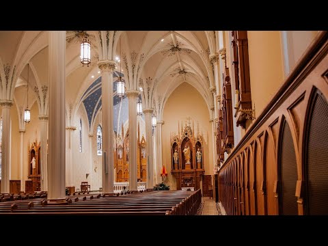 Catholic Meditation with Organ Sounds 38 | Non Stop Organ Sounds, Catholic Prayer