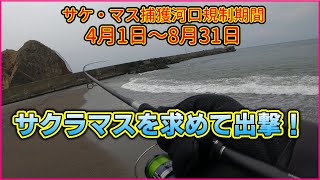 道南日本海側へサクラマスを求めて行ってみたんだけど...