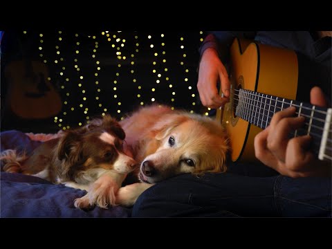 Lean On Me - Bill Withers (Fingerstyle Guitar)