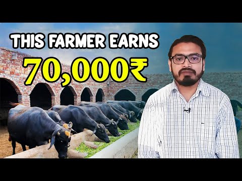 This Dairy Farmer earns 70,000 rupees per Month | Buffalo Farming Success Story