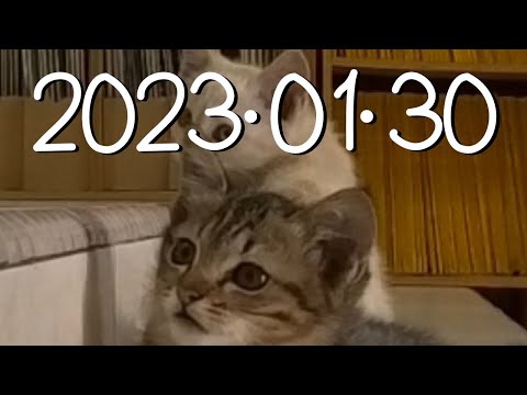 2023年01月30日。年初九。天公誕