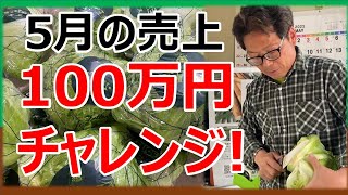 【5月の売上】100万円チャレンジ！