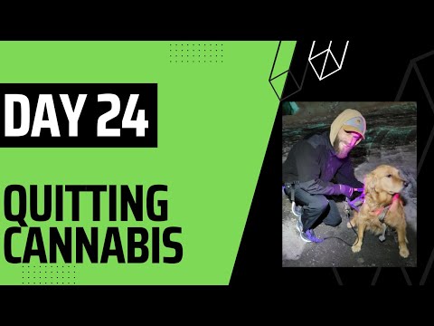 Day 24: Quitting Cannabis - Positively Vibrating, Humble Beginnings, and a Future Worth Sharing