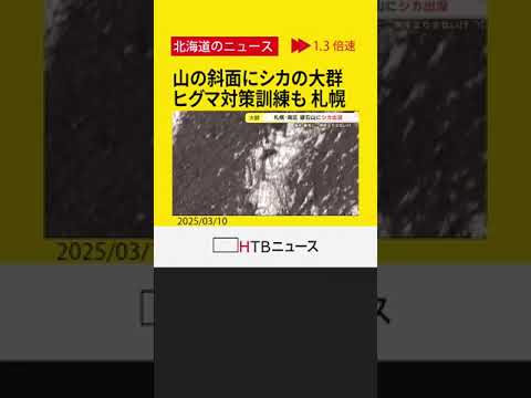 札幌の山の斜面に“あの動物”が大群で…   春の野生動物活発化でヒグマ対策訓練も