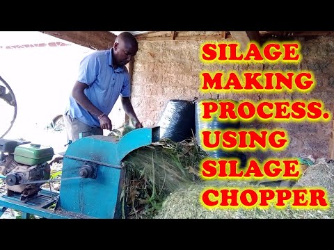 Siilage Making Process Using Silage Chopper