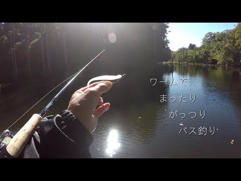 秋のリザーバー。手堅くワームだけの釣り(バス釣り）